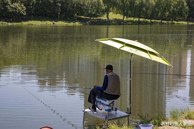 [饵料]夏季天热野钓总空军，多半是钓位选不对，老钓友教你两招选位技巧