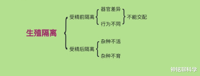 海豚|鲸鱼和海豚区别那么大，为什么能杂交出鲸豚兽？
