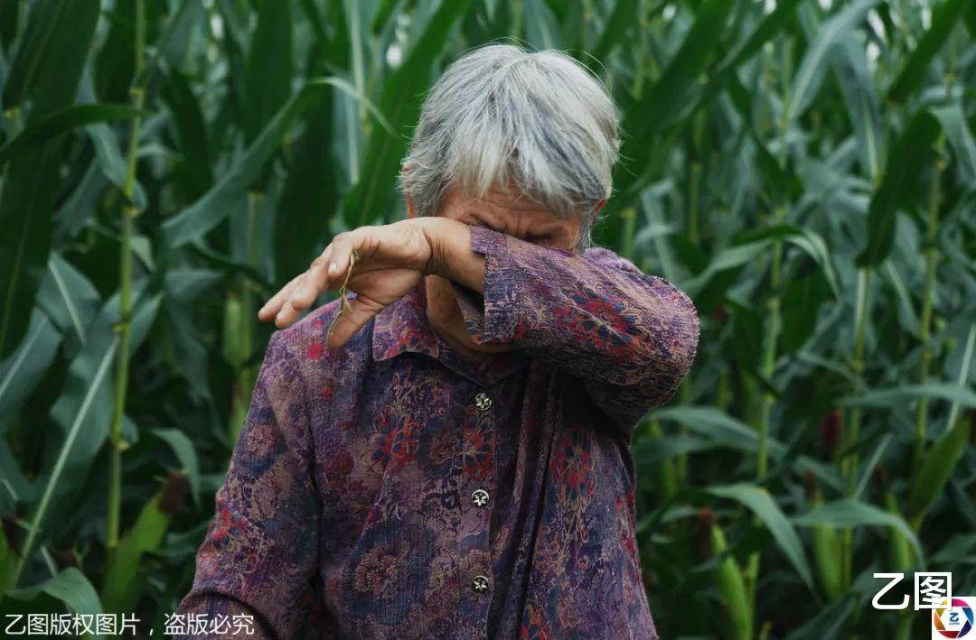 乙图|高温下8岁男童帮年迈姥姥卖菜，为姐姐凑医疗费，吆喝声让人心疼