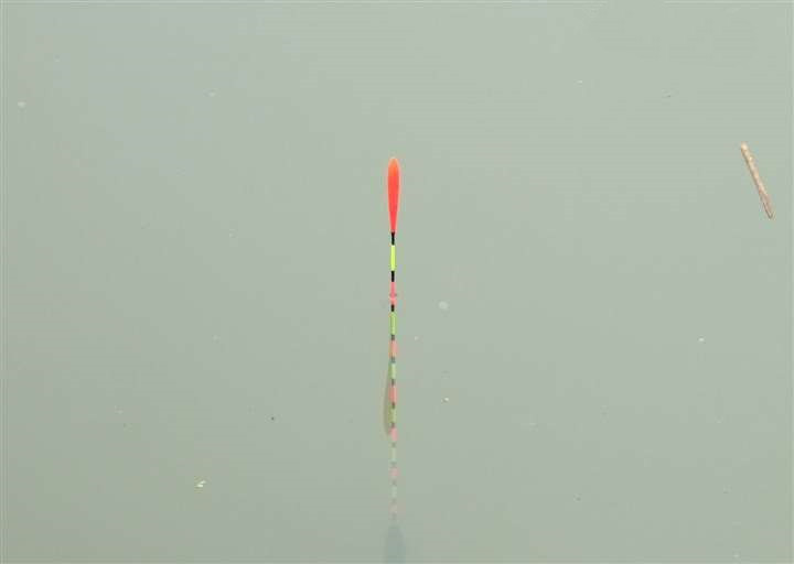 饵料|钓目必须露出水面?不,负目钓浮还真不需要钓目露出水面