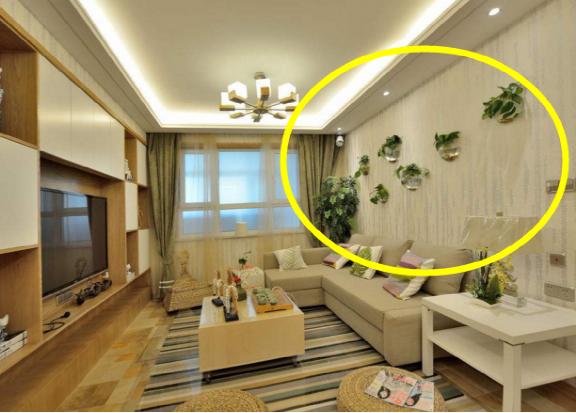 []回家在这3个地方放上植物，师傅看了就点头，招财又聚气！