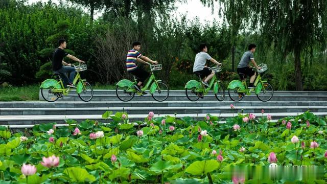 许昌报业传媒集团|市民镜头下的许昌，美出了新高度