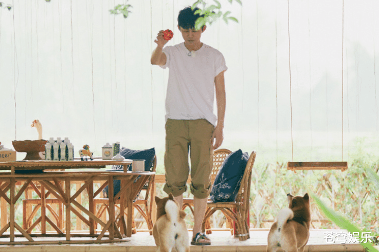 「何炅」何老师陷入被骂风波，《向往》节目组没澄清，肖战却忍不住发声！