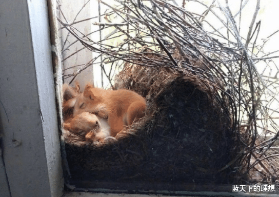 「」今天玩泥巴捡到的，请问什什么表，值钱吗？网友的回答是不是逗我哈！