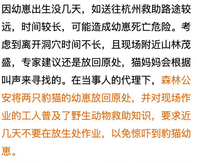 老虎@村民捡到两只“小老虎” ！真实身份竟然是…