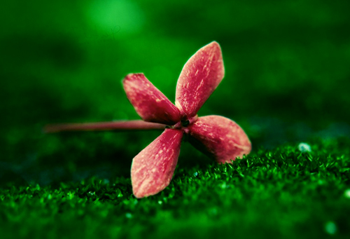 「狮子座」7月开始,鸿运抬头,财源大发的三个星座