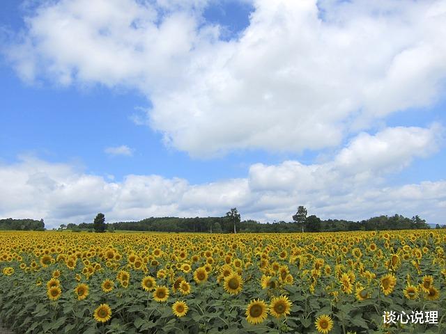 天秤座|12月，许你一世情深，慰我三生守望，3星座和好如初，旧梦重圆