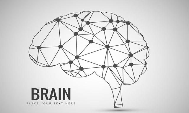 科学家▲《我们的脑子够用吗》：与剑桥脑科学家一起探索稀奇古怪的脑知识