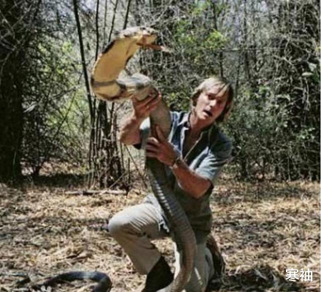 #毒蛇#“世界蛇王”：他创下与蛇群接触最长纪录，幼年自曝毒蛇让我兴奋
