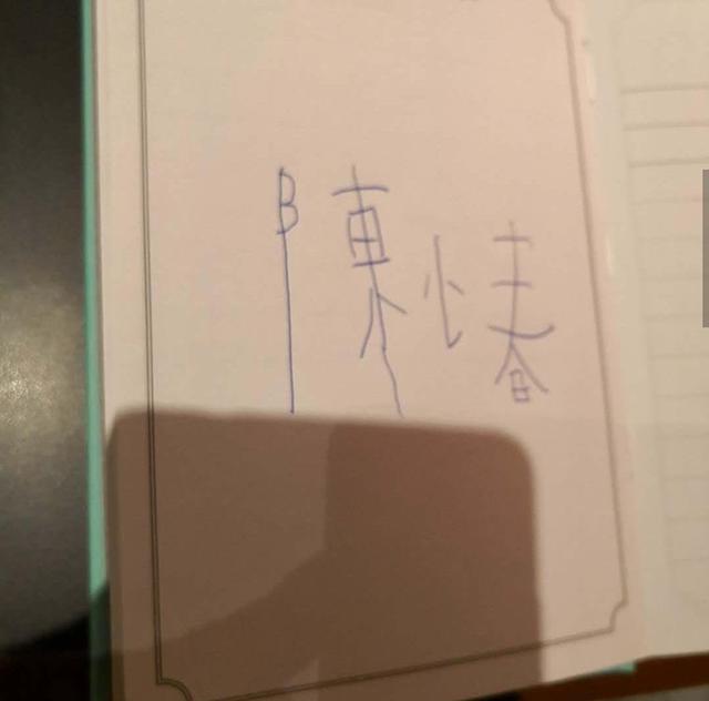 『jasper』应采儿晒儿子作业，Jasper造句自称每天浪费钱，粉丝大赞有觉悟