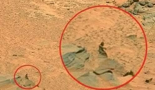 外星人|终于找到了！NASA照片上快速移动的外星生物，疑似为女外星人