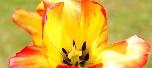 #射手座#思想深刻,眼光长远,这些星座善良纯真,早晚会化茧成蝶