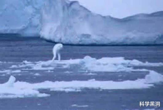 『南极』这种恐怖生物多次被人目击，是人类的生化实验，还是神秘新物种？