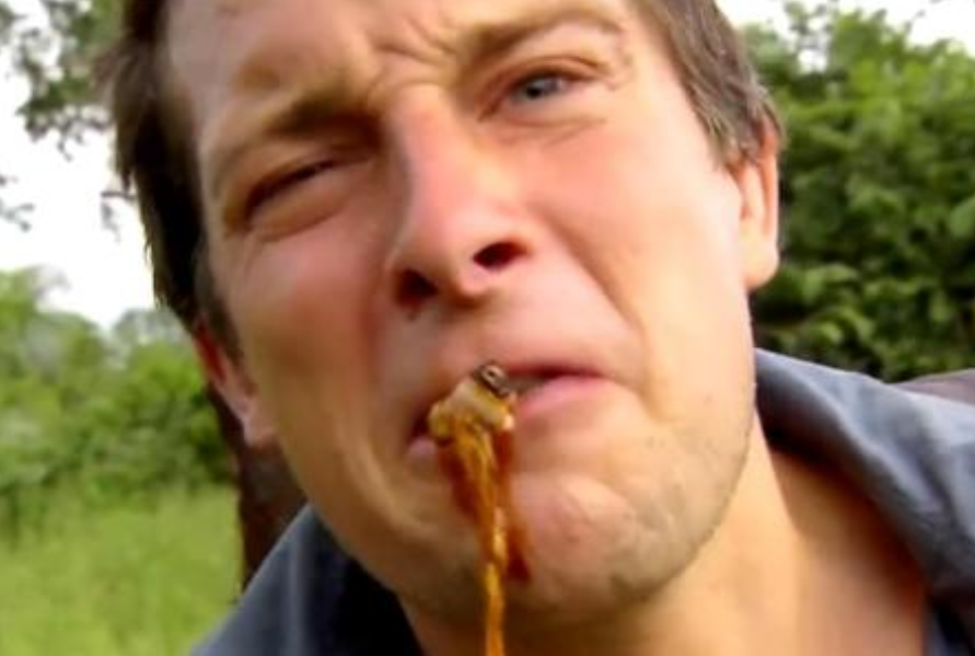 ##地球上最恐怖的几种动物，贝爷遇上它们都只能自求多福