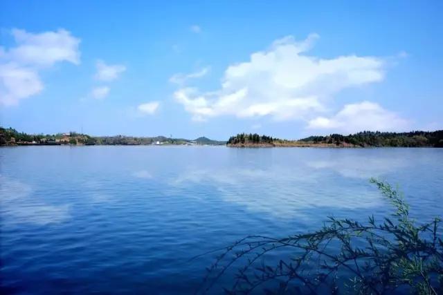 鲫鱼|鱼道=鱼到，野钓时如果你能找到“鱼道”，那结果自然可想而知了