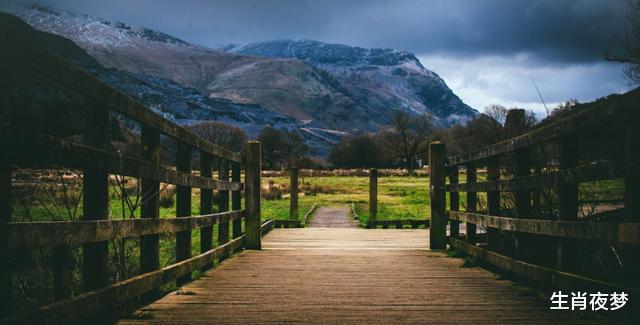 「生肖」6月，心花怒放，旧情人真诚认错，3生肖怦然心动，心软接受复合