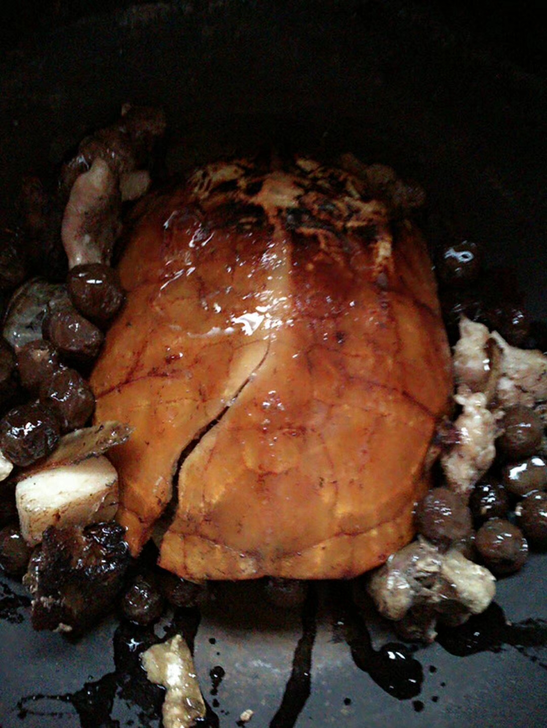 :一只被烧糊的路龟甲的独白