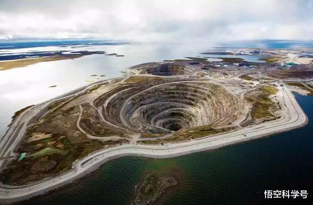 巨龟|印支虎达3900头！被认为灭绝百年的巨龟重现地球，暂时不知道原因