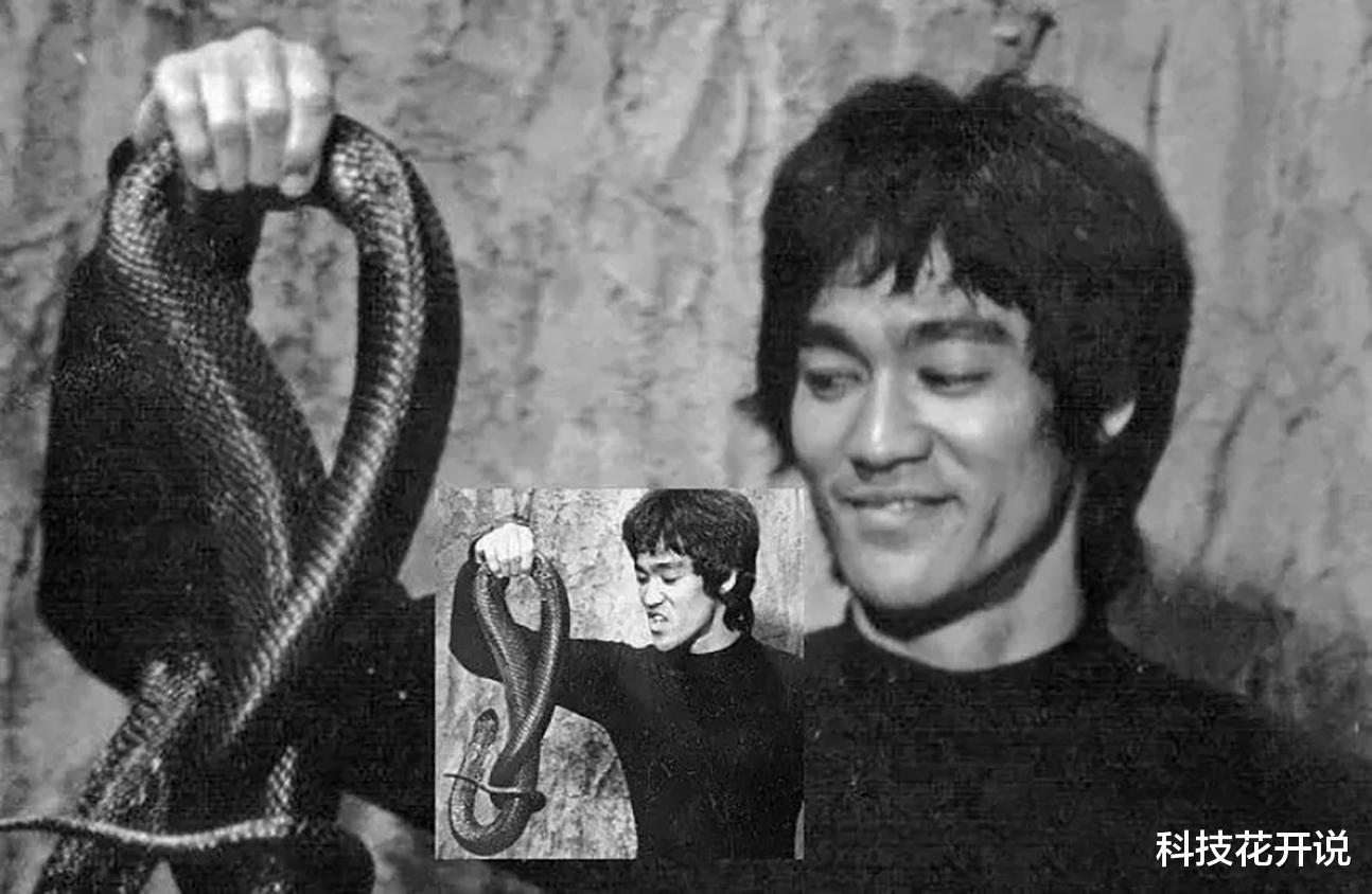 艺伎|历史上过目难忘的瞬间：练倒立的日本艺伎，躺树杈上的梦露，玩蛇的李小龙