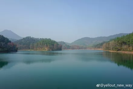 半岛晨报|刚刚！一村民进山发现1米长“怪物”