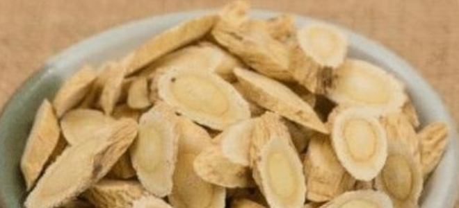 老中医说黄芪和“它”绝配，连喝3天肾补满，肝病湿气全喝跑