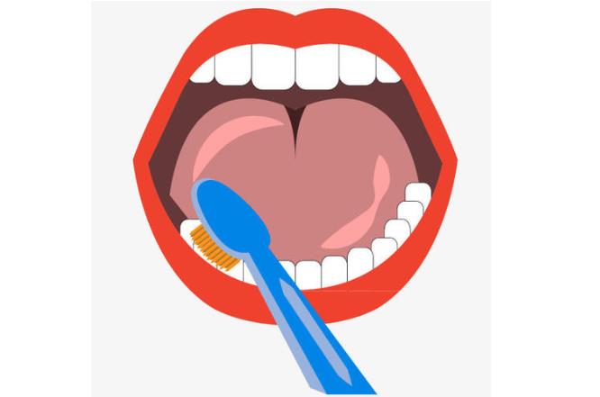 牙齿：每天刷一次牙和刷两次牙的人，身体上有多大差距？今天终于明白了！