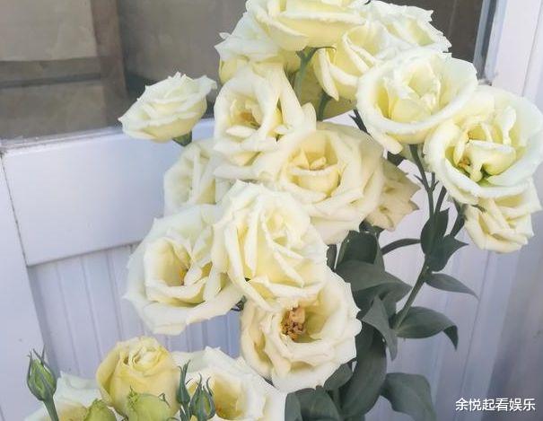 射手座■四月上旬，花前月影，鸳鸯绕红绳，旧爱入座，心生牵念，一拍即合