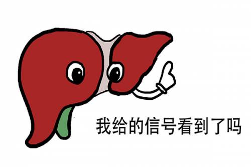 「肝脏」肝若出了问题,身体3处会“发黑”,1处会“变红、发痒”,需了解