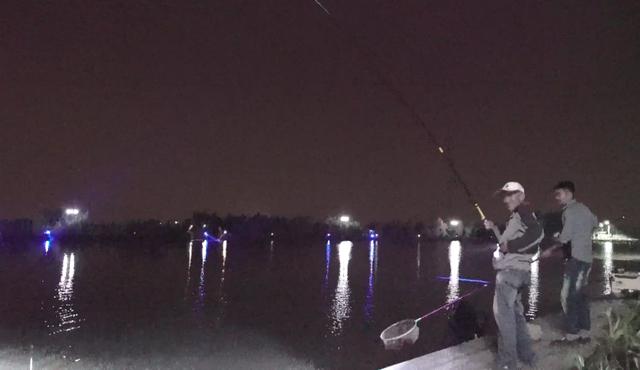 :看钓鱼大赛学钓鱼技巧!华山论剑,高手云集