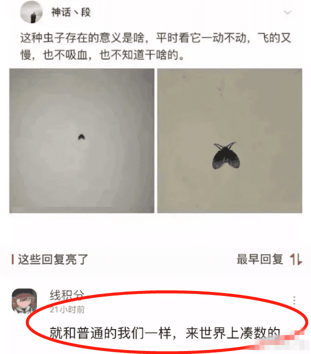 在沙漠里看到了一只死掉的蜥蜴,前面还有一个饮料的易拉罐,这个故事告诉了我们什么道理呢?哈哈哈哈