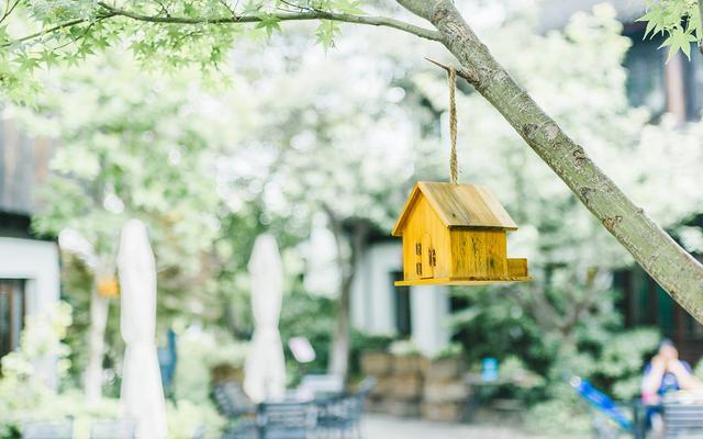 [星座爱情观]容易牵肠挂肚，为了爱情，宁愿没有自由的三大星座！