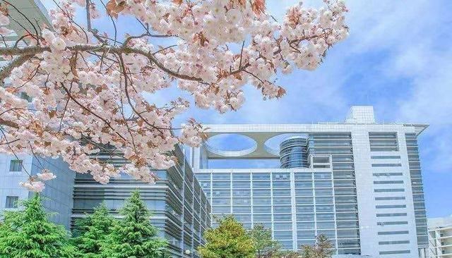 「高校」这两所211高校被名字耽误，有“国字号”的招牌，却不招人喜欢