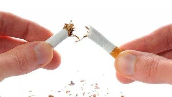 「长寿」血管干净人长寿，多吃4种食物，少做5件事，是在给血管“加寿”