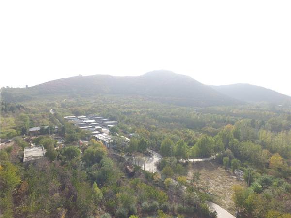 公安部|老人携女负债种树16年荒山变绿洲,女儿却因非法占林被拘捕?