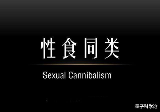 后代■交配后，为了防止被雌性吃掉，这种生物的雄性甘愿“自宫”