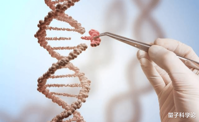 无性繁殖|人类生娃娃为何要男女搭配?很麻烦,无性繁殖不是更方便吗?