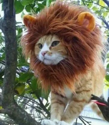 北京旅游网|定了！8月1日起，正式执行！