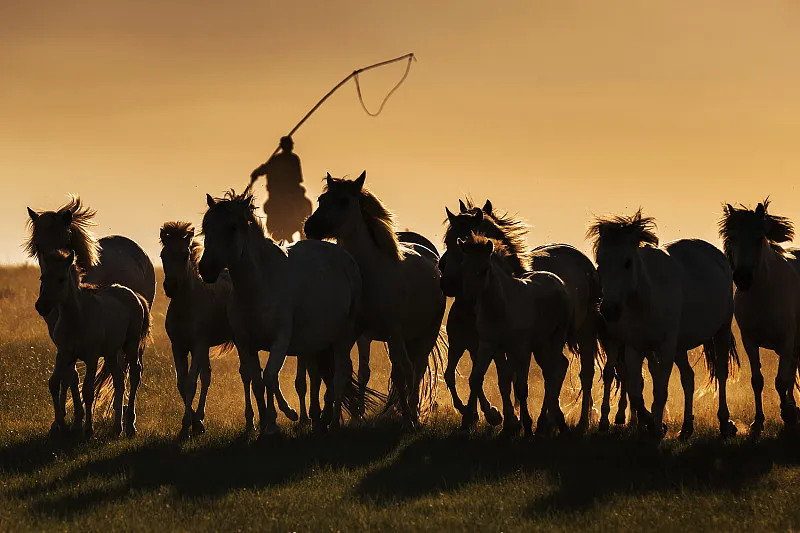 新疆维吾尔自治区|世界唯一能看到九个太阳的地方，已迎来最美季节！必须要去一次！