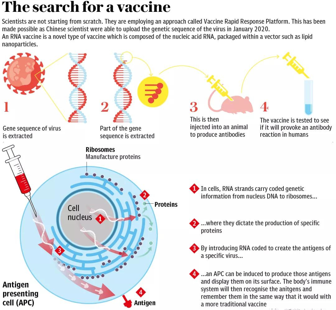 英國《電訊報》：中國有望贏得全球新冠疫苗外交競賽-圖3