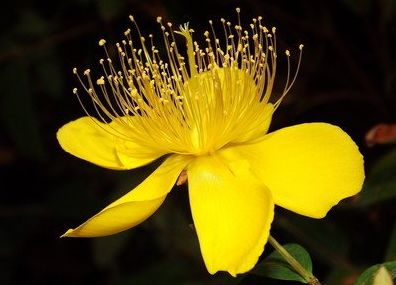 运势|8月上上吉，9月发大财，4大生肖贵人、喜事甩不掉，天天咧嘴笑