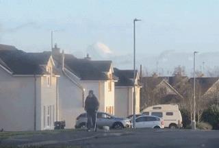 老友摔伤需要复健，橘猫紧紧跟随陪伴，超暖心！