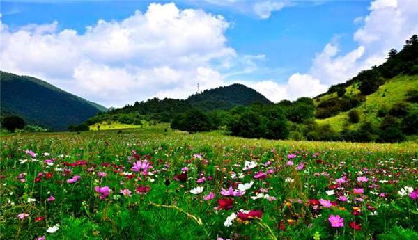 【重庆】重庆最“心酸”公园,面积是亚洲最大城市公园157倍,却鲜有人知