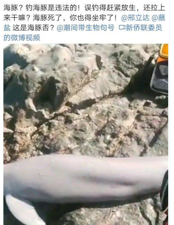 社会养老|钓到“江豚”还炫耀？这位钓鱼人引发热议，网友：三年起步