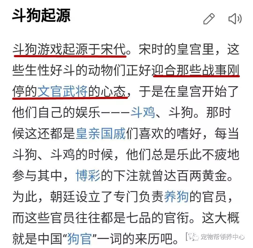 度假村藏匿残忍斗狗场，场面血腥，而上百人却在拍手叫好！