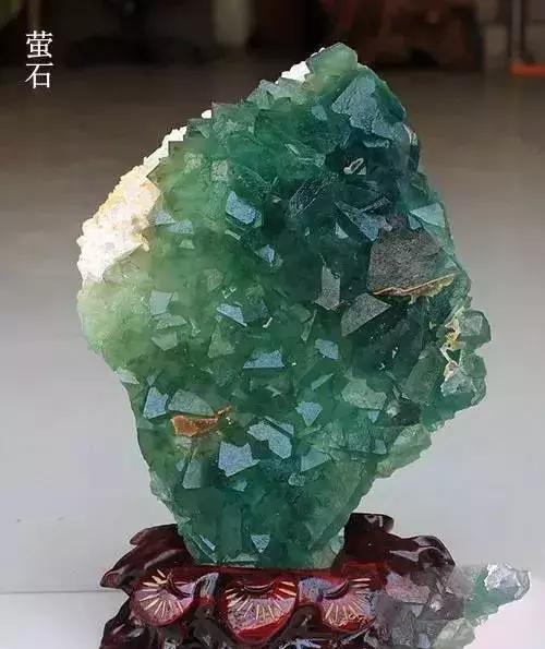 []夜明珠到底是什么东西？