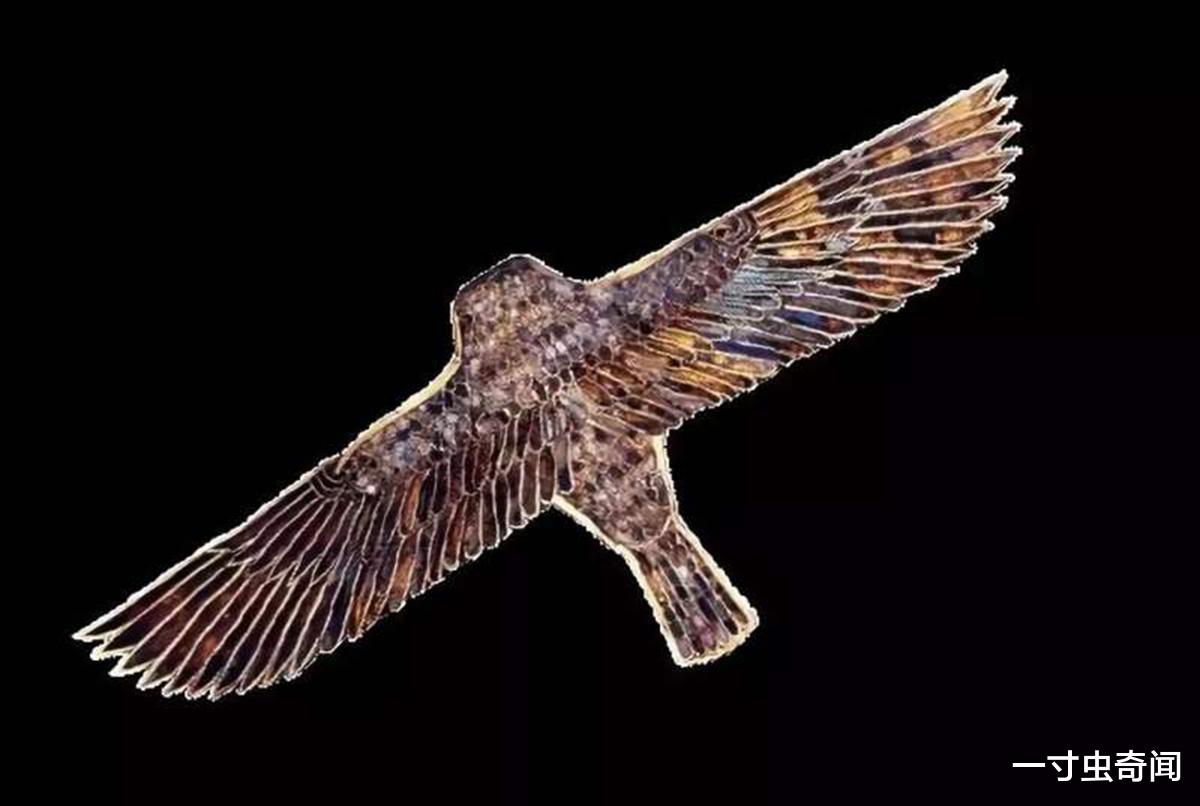 飞行器|外星人遗作？1898年埃及出土2200年前飞行器模型，符合动力学原理