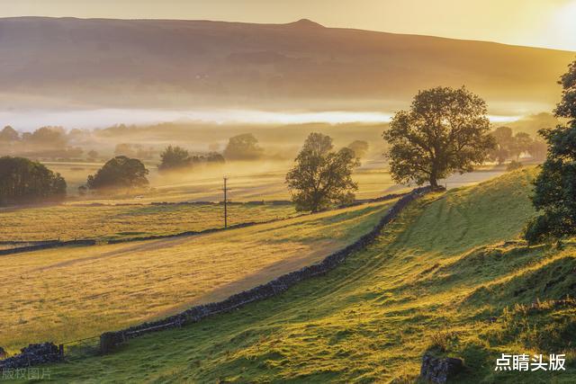 金牛座|进入8月份得天时地利人和，魅力崭露头角的三大星座