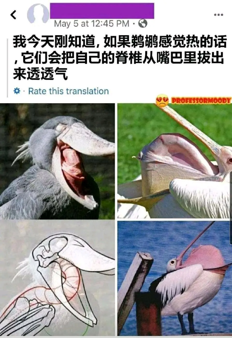 |奇怪的知识又增加了