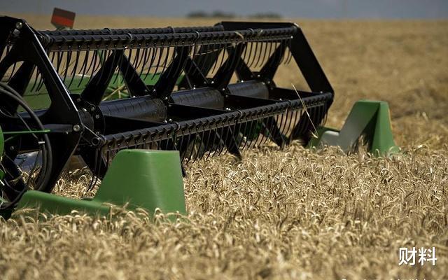 |国人不缺吃，为什么要进口美国的粮食？魏百刚一语中的，说出实情