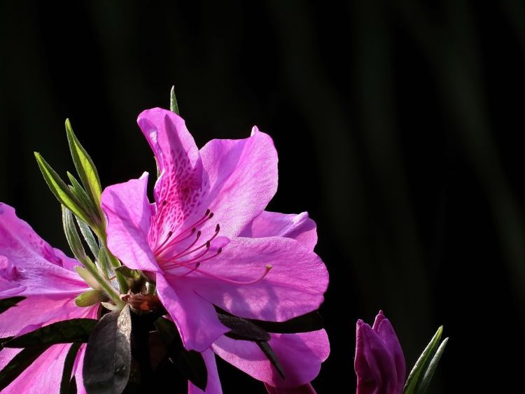 射手座|八月下旬到来，不用再怀疑人生，与真爱幸福相遇的4大星座